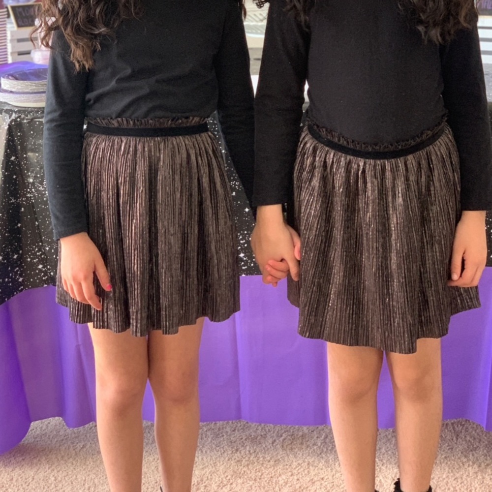 Zara Metallic Skirt